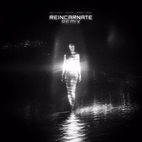 Reincarnate (Remix) (EP)