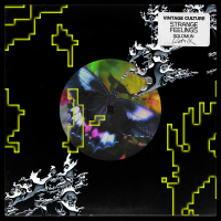 Strange Feelings (Solomun Remix) (Single)
