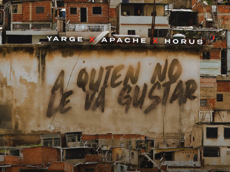 A quien no le va a gustar (Single)
