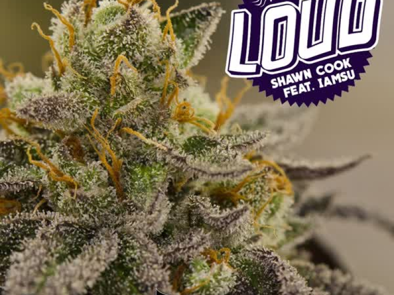 Loud (feat. Iamsu!) (Single)