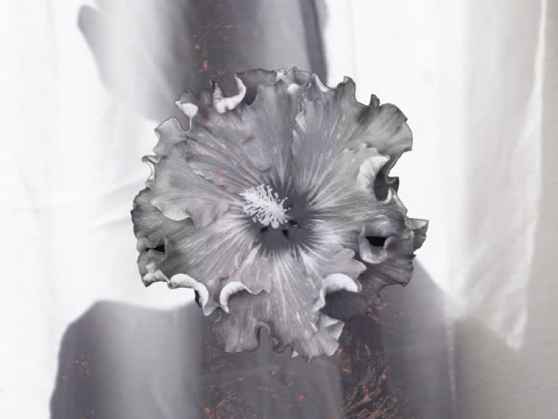 Príncipe de Lata (Single)