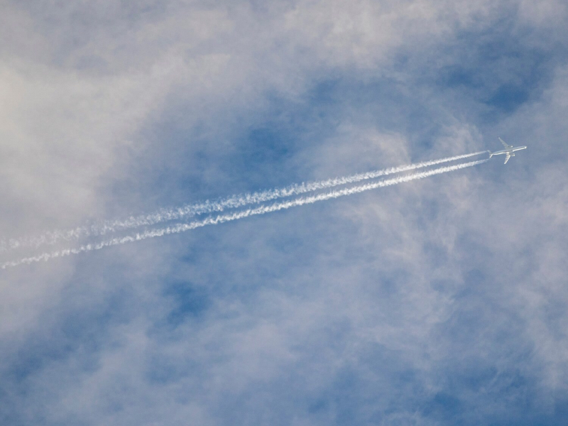 Leika lausum hala (Single)