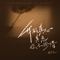 我的真心真意你不珍惜 (Single)