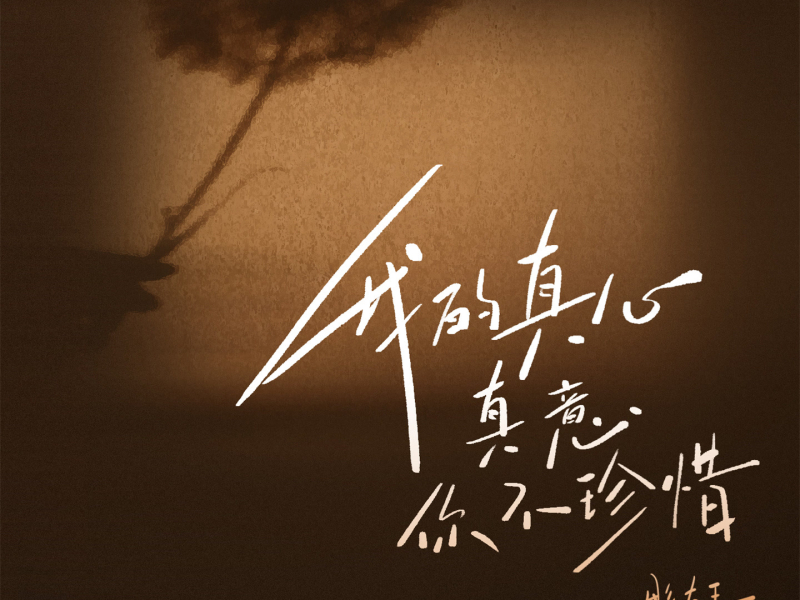 我的真心真意你不珍惜 (Single)