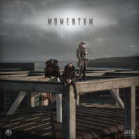 Momentum (Single)