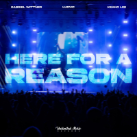 Here For A Reason (Single)