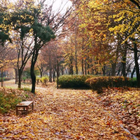 Walk with You (Single)