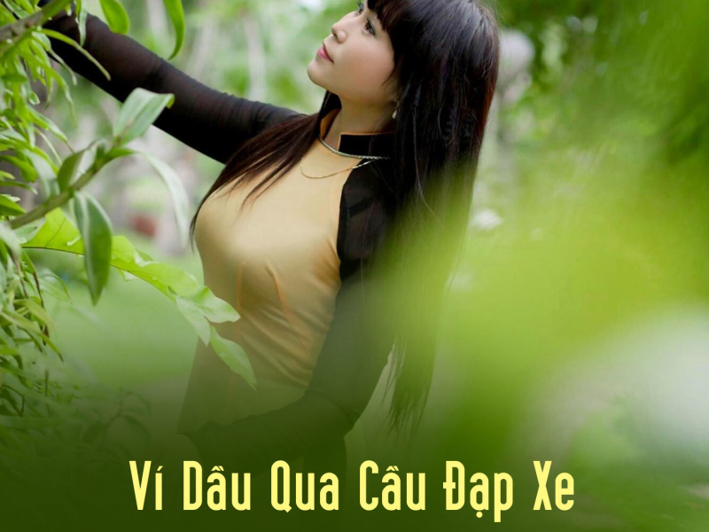 Ví Dầu Qua Cầu Đạp Xe (Single)
