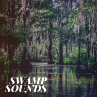 Swamp Sounds (Single)
