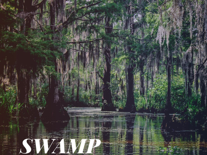 Swamp Sounds (Single)