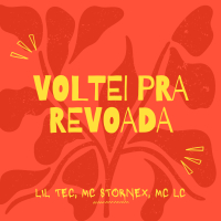 Voltei pra revoada (Single)