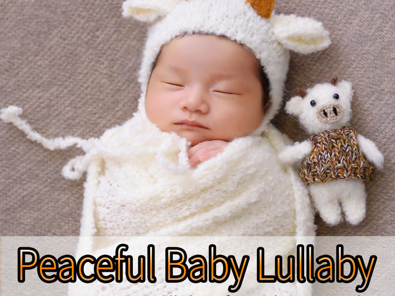 Peaceful Baby Lullaby: Lullabies for a Sleeping Baby (Single)