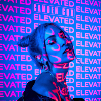 Elevated (Single)
