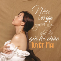 Nếu Có Gặp Người Ấy Cho Tôi Gửi Lời Chào (Single)