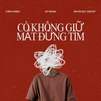 Có Không Giữ Mất Đừng Tìm (VH Remix) (Single)
