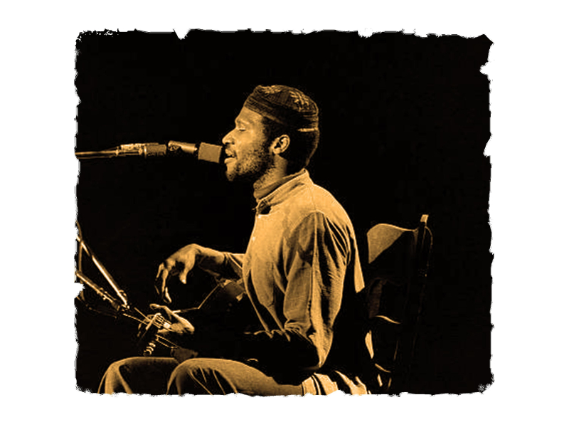 Trailin' Vines And Dew (Live) (Single)