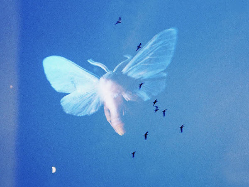 everything at once (Single)