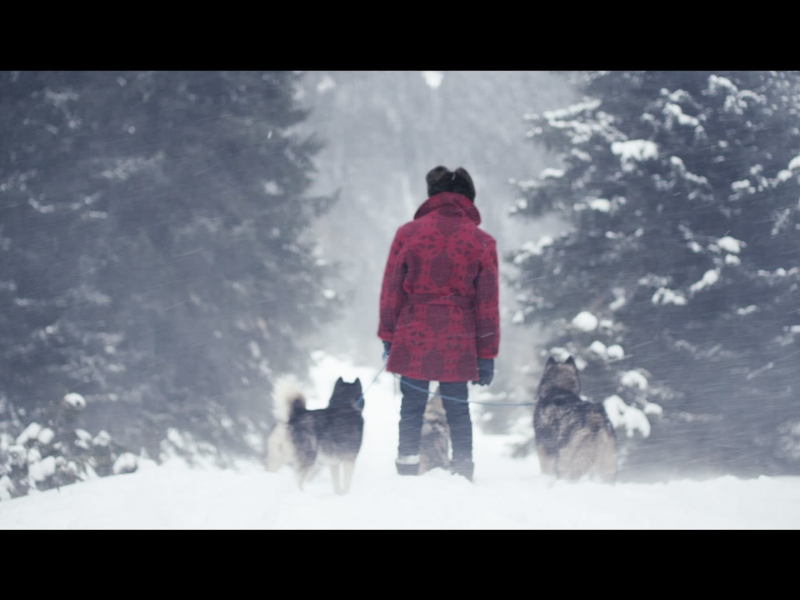 Higher (MV) (Single)