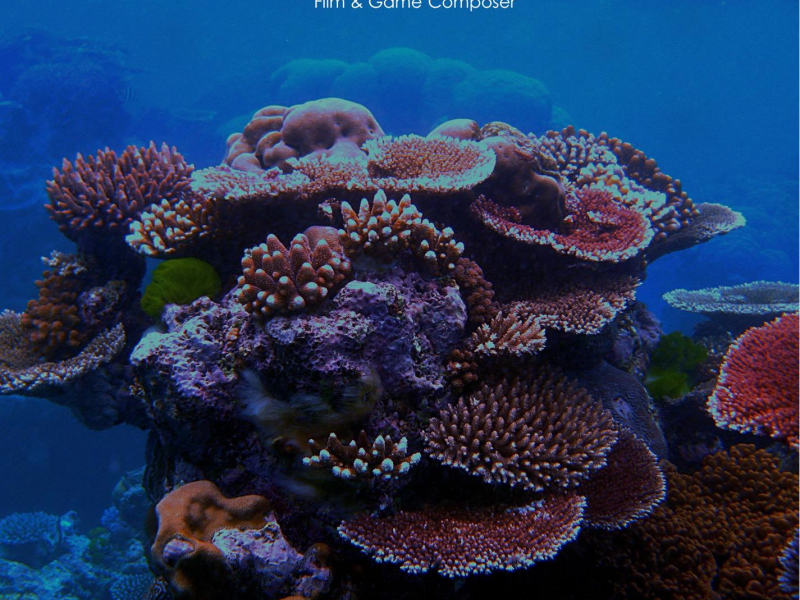The Great Barrier Reef (Single)