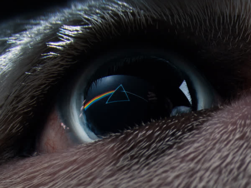 Speak To Me / Breathe (EP)