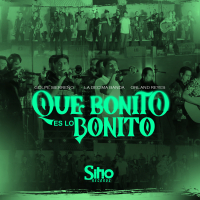 Que bonito es lo bonito (Single)