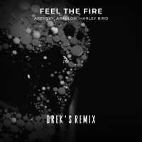 Feel The Fire (Drek's Remix) (Single)