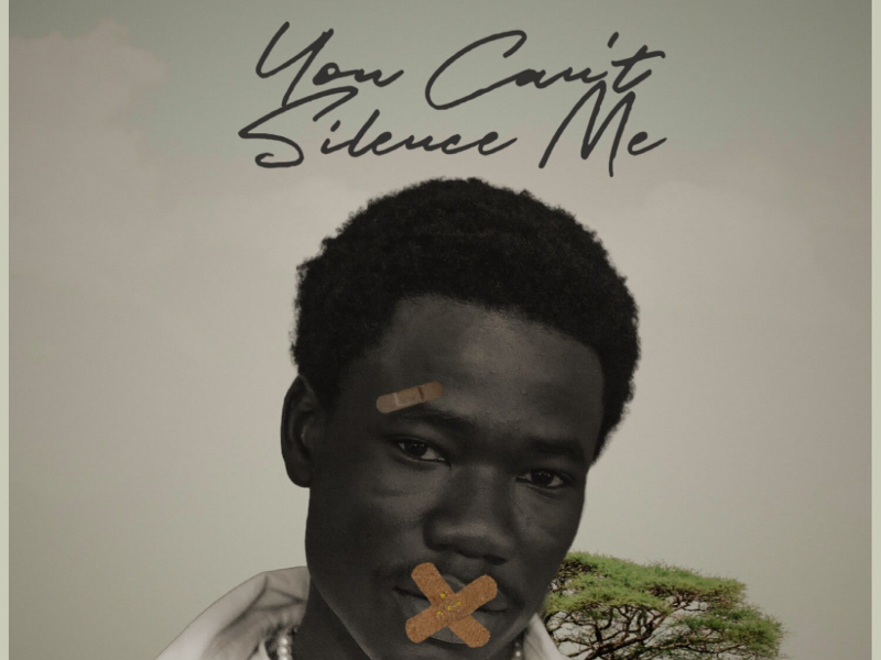 You Can't Silence Me (Single)
