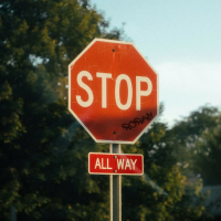 STOP (Single)