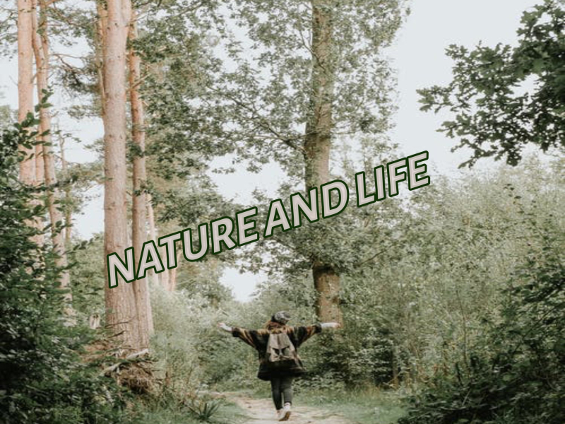 Nature And Life (Single)