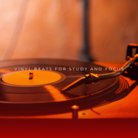 Vinyl Beats For Study and Focus (EP)