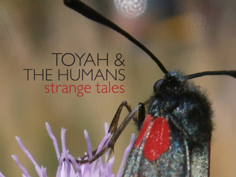 Strange Tales