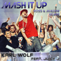 Mash It Up (Ross & Maldini Remix) (Single)