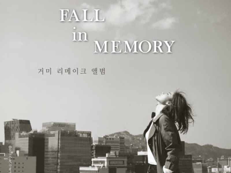 Fall in Memory