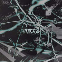 Voices (Single)