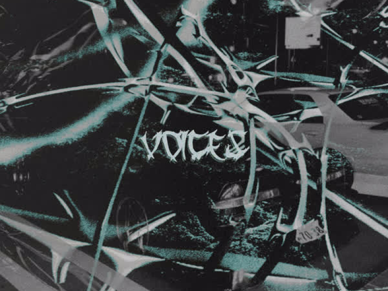 Voices (Single)