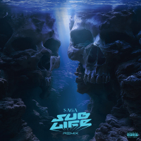 Saga (Remix) (Single)