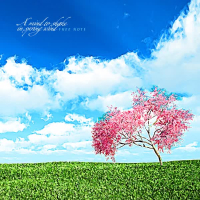 A mind to shake in spring wind (Single)