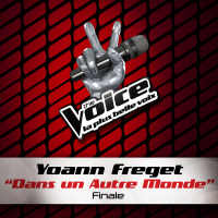 Dans Un Autre Monde - The Voice 2