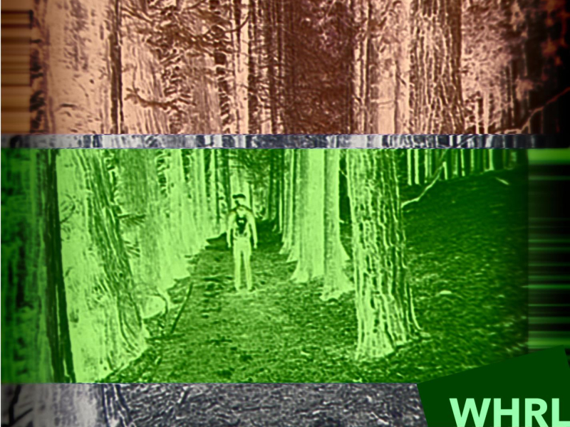 Blissful Ignorance (Single)