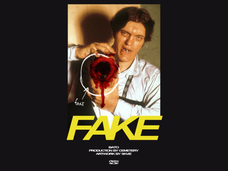 FAKE (Single)