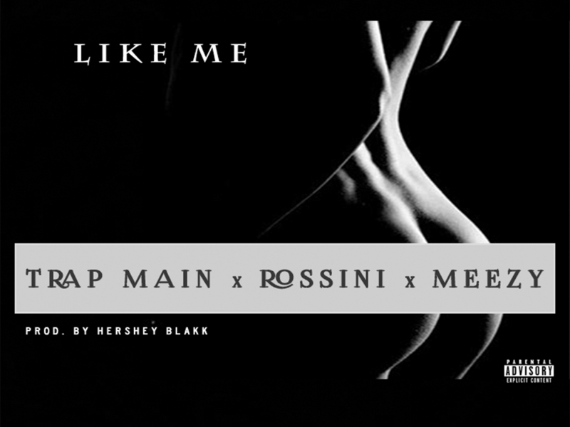 Like Me (feat. Trap Main & Meezy)