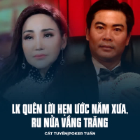 LK Quên Lời Hẹn Ước Năm Xưa, Ru Nửa Vầng Trăng (Single)