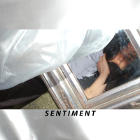 Sentiment (Single)