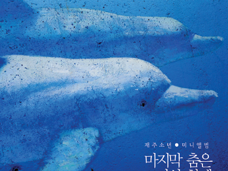 마지막 춤은 나와 함께