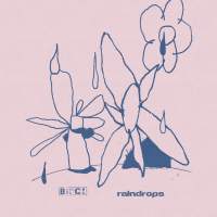 Raindrops (Single)