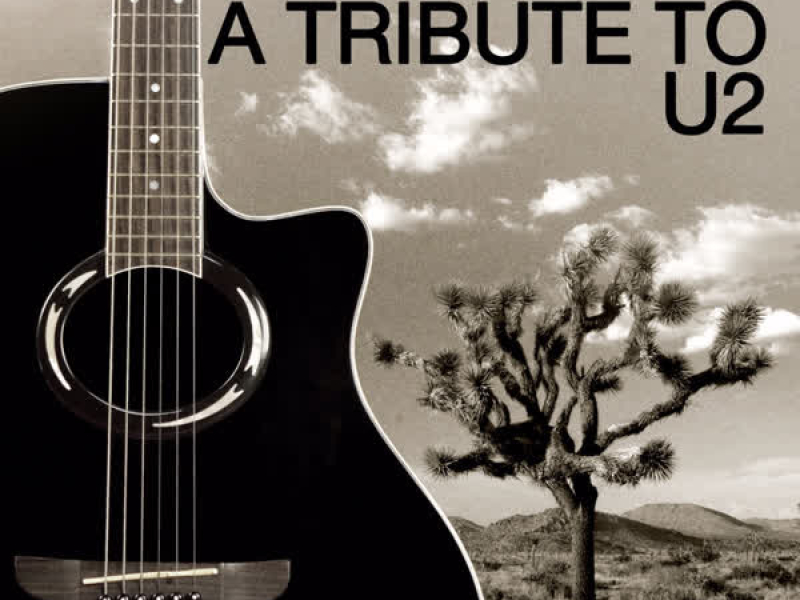 Acoustic Hits: A Tribute to U2