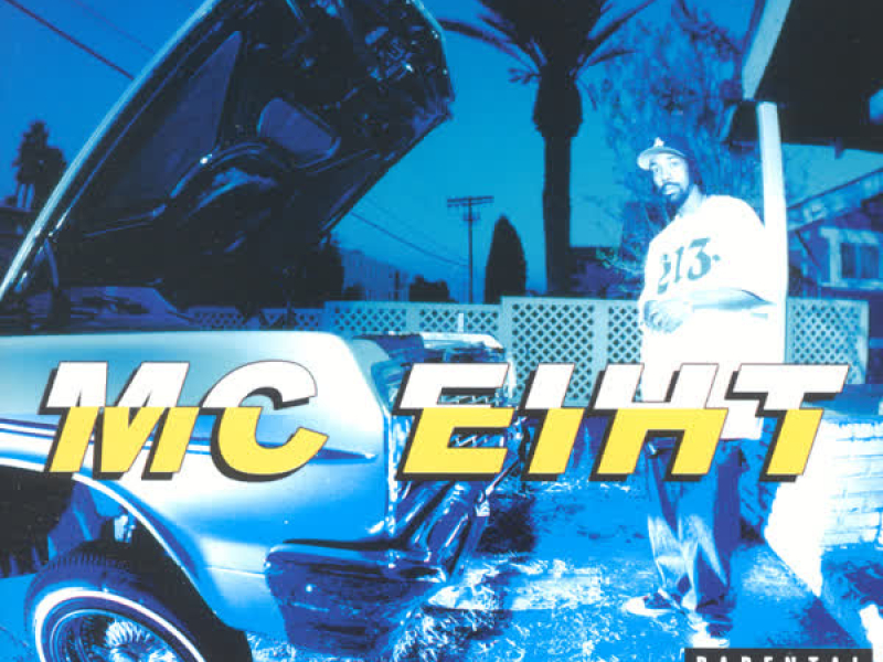 Section 8 (Explicit)