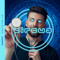 Wook Flu Funk / Lab (Single)