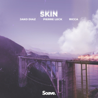 Skin (Single)