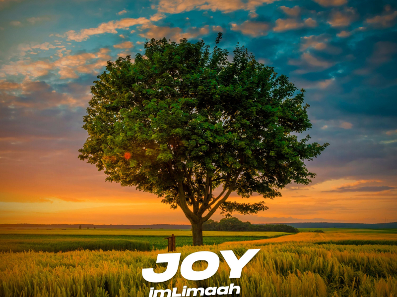 Joy (Single)